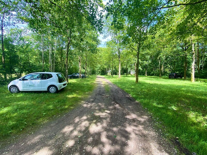 Unbefestigter Weg durch einen Wald mit drei geparkten Autos auf der Wiese links und rechts des Weges.