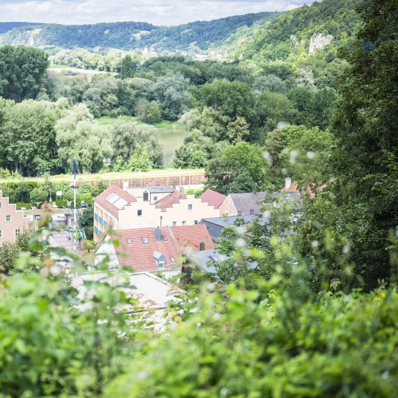 Blick auf eine kleine Stadt mit roten Dächern, umgeben von Bäumen und Hügeln im Hintergrund.