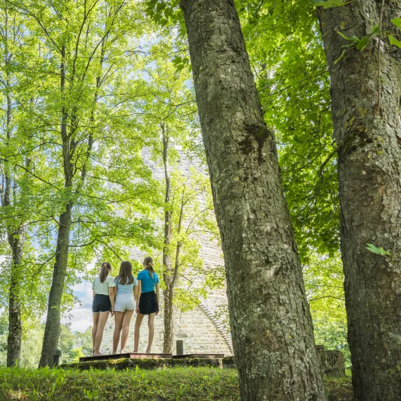 Drei Personen stehen auf einer Plattform im Wald, umgeben von hohen Bäumen.