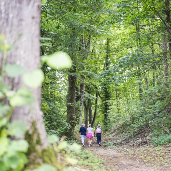 Drei Personen gehen auf einem Waldweg, umgeben von grünen Bäumen.