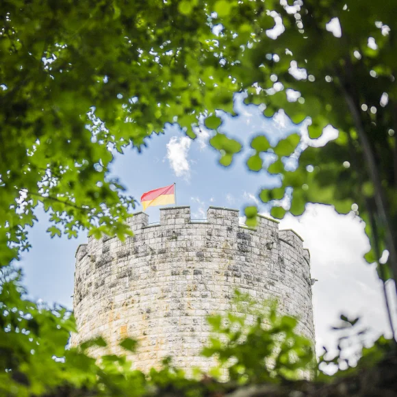Ein runder Steinturm mit Zinnen und einer rot-gelben Flagge, umrahmt von grünen Blättern.