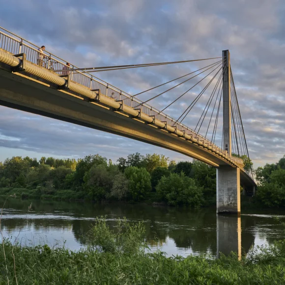 Fußgängerbrücke über einen Fluss, umgeben von Bäumen und bewölktem Himmel.