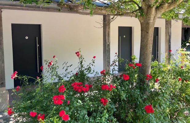 Busch mit roten Rosen vor Baum und drei schwarzen Türen an weißer Hauswand bei Sonnenschein