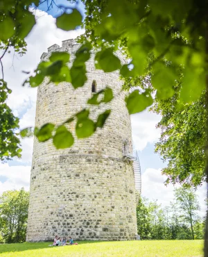 Ein runder Steinturm steht auf einer Wiese, umgeben von Bäumen und Blättern im Vordergrund.
